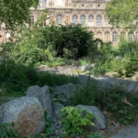 Jardins publics de Paris : comment les nouveaux espaces verts de la ville rafraîchissent la capitale et offrent un répit