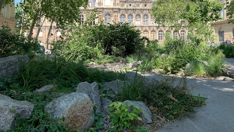 Jardins publics de Paris : comment les nouveaux espaces verts de la ville rafraîchissent la capitale et offrent un répit