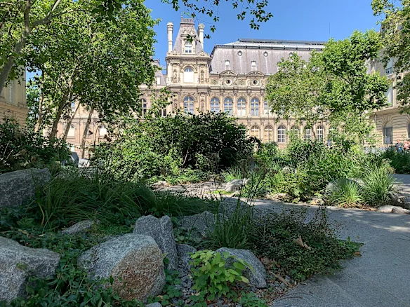 Le nouveau jardin du souvenir du 4e arrondissement associe grosses roches et plantes méditerranéennes.