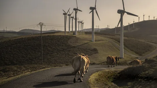 L'énergie éolienne n'est plus la deuxième source d'énergie préférée de l'Australie.