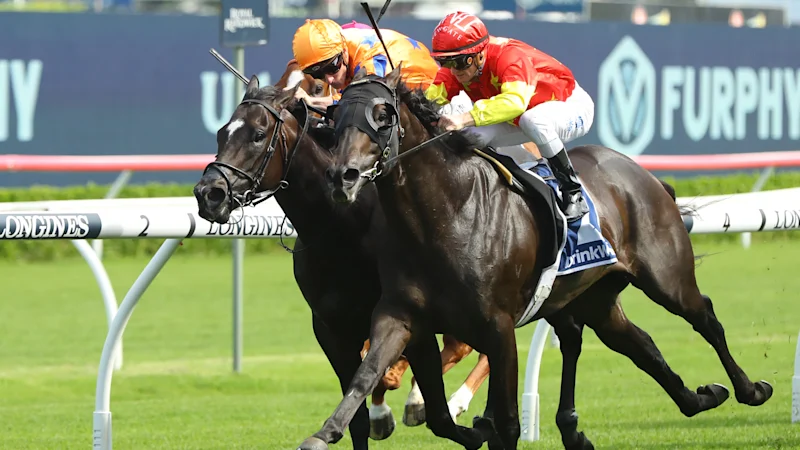 Aperçu course par course et conseils pour le meeting de Canterbury de mercredi