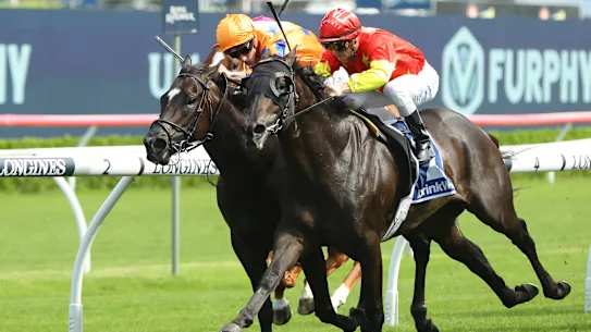 Le Racing revient à Canterbury mercredi.