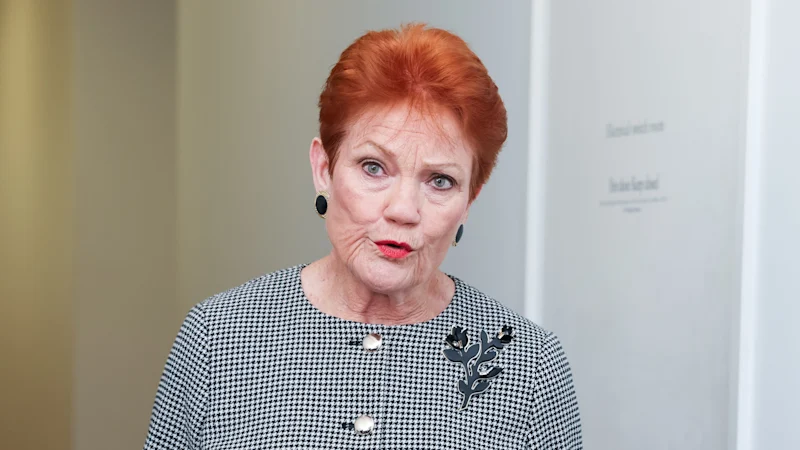 One Nation : la coalition soutient le plan d'immigration de Pauline Hanson malgré le plaidoyer de John Howard pour contrer les partis mineurs