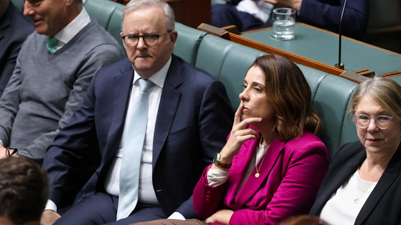 Financement des médias d'information : Anthony Albanese conclut un accord avec l'opposition pour sécuriser les paiements des géants de la technologie