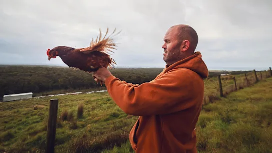 Zac Jeffries dans son élevage de poulets. 
