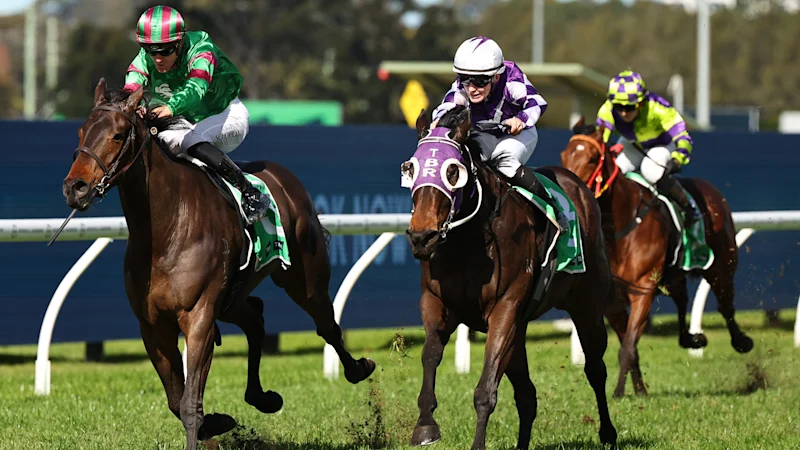 Conseils et aperçus pour la course à Rosehill samedi