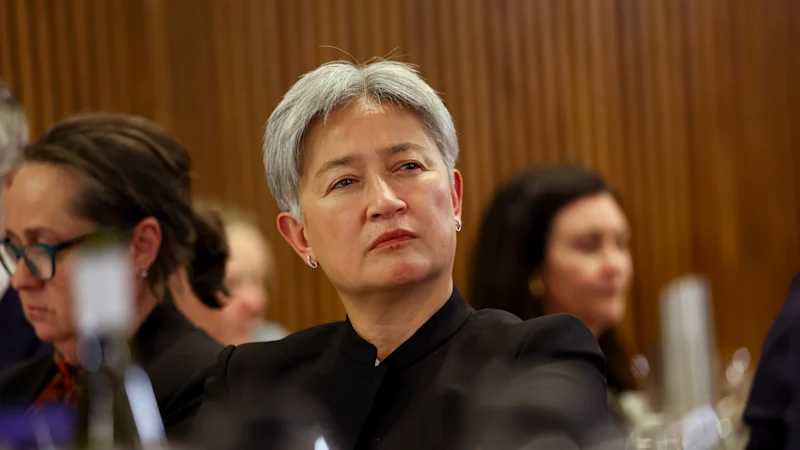« Plus faible à la maison » : l'avertissement voilé de Wong à One Nation sur la sécurité nationale