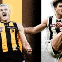 Deux attaquants, deux mentalités : les philosophies contrastées qui animent les Hawks et les Magpies