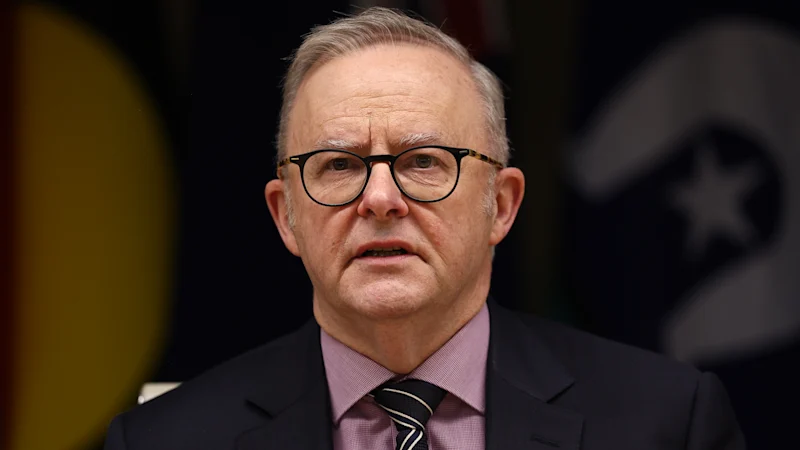 Réunion du Cabinet national : les premiers ministres exigeront davantage d'argent fédéral après le refus d'Albanese de modifier l'accord sur la TPS