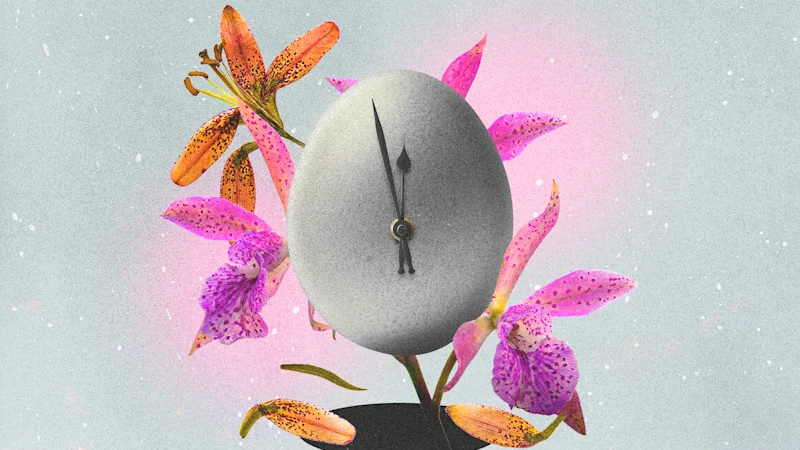 Le test de fertilité AMH expliqué : pourquoi les experts mettent en garde contre l'utilisation du test "Egg Timer" pour prédire vos chances de concevoir
