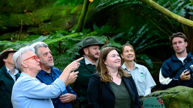 Vaccin contre la grippe aviaire H5N1 : le zoo de Taronga teste un nouveau vaccin pour les petits manchots et les espèces d'oiseaux menacées