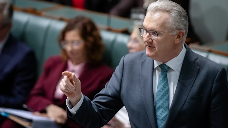 Combler l'arriéré de visas : pourquoi le nombre de titulaires de visas temporaires en Australie a doublé en trois ans