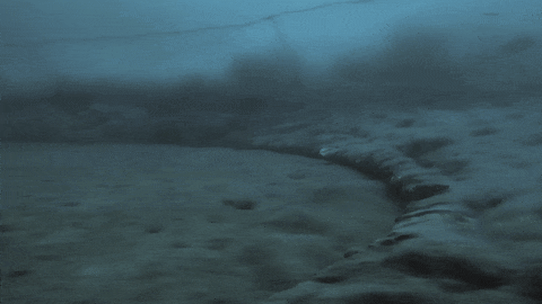Images de chalutage de fond du documentaire Ocean de David Attenborough.