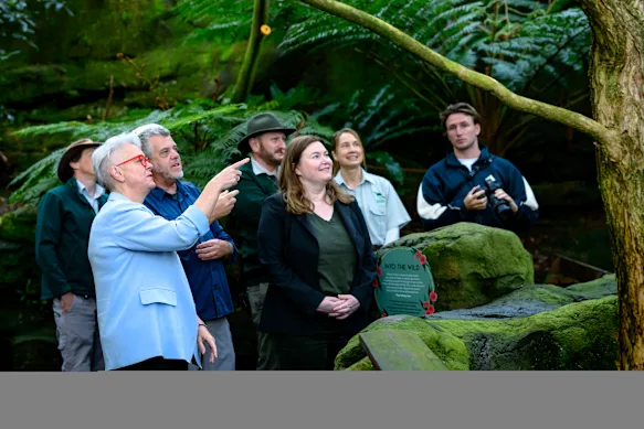 La ministre de l'Environnement Penny Sharpe (deuxième à partir de la gauche) et la ministre de l'Agriculture Tara Moriarty (au centre) dans la volière du zoo de Taronga.
