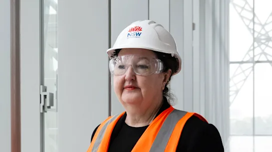 La semaine dernière, Lisa Havilah a quitté son poste de directrice générale de Powerhouse Parramatta après sept ans, au milieu d'une enquête sur la gouvernance.