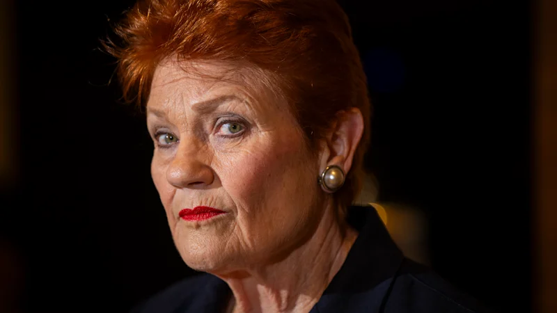 Pauline Hanson qualifiée d'hypocrite suite à des allégations de violence