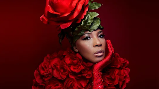 Macy Gray : repousse sans relâche les limites de son propre son.