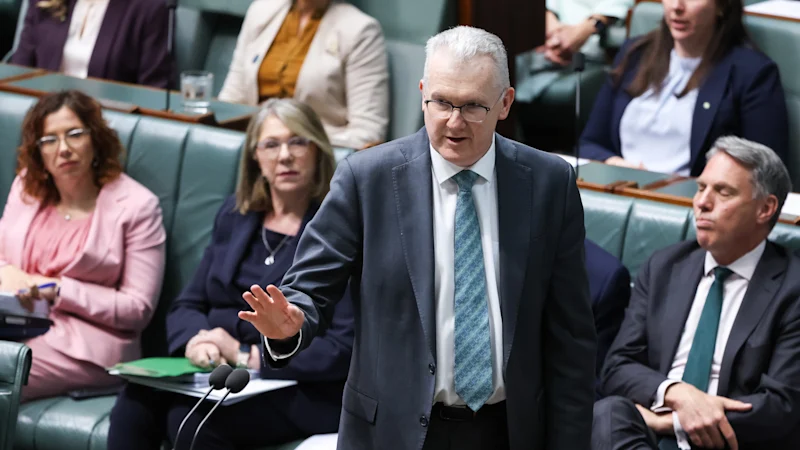 Annonce d'immigration en Australie Mises à jour EN DIRECT : Burke dévoilera des changements majeurs en matière de migration dans le discours du National Press Club ; Joyce dit que les personnes ayant dépassé la durée de leur visa seraient expulsées pour avoir utilisé les services publics dans le cadre de la politique One Nation