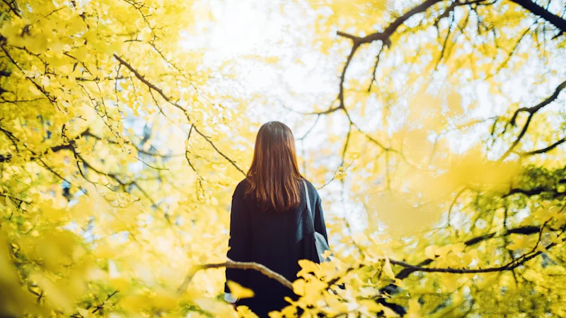Philosophie japonaise du Ma : Pourquoi adopter « l'entre-deux » est essentiel à la croissance personnelle