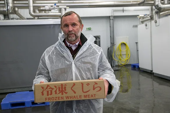 Kristján Loftsson tient une boîte de viande de baleine congelée destinée au marché japonais.