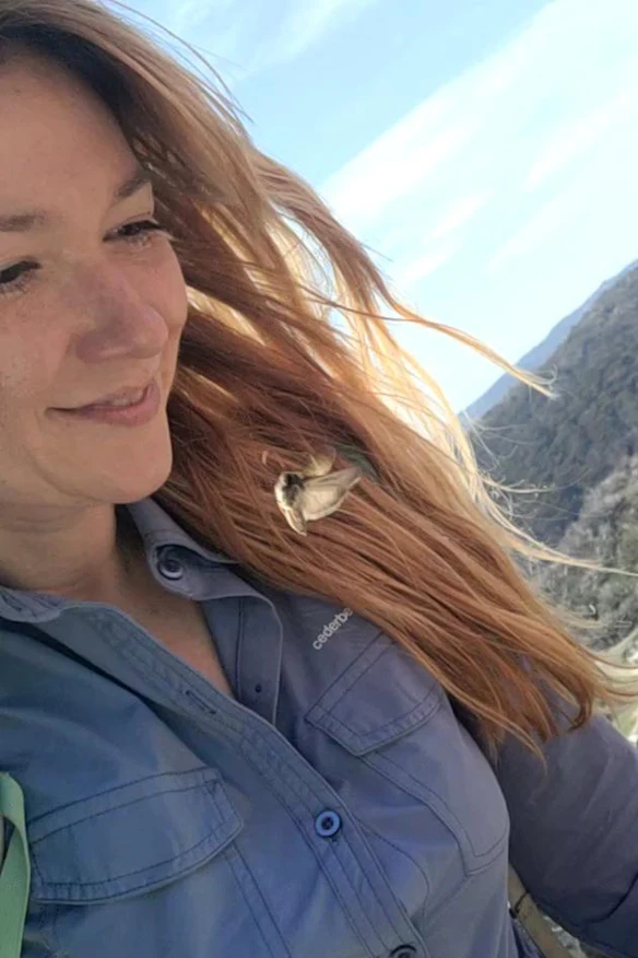 Dr Marissa Parrott, biologiste principale de la conservation au Zoos Victoria, sur le terrain du mont Kosciuszko avec l'un de ses papillons bogong bien-aimés au premier plan.