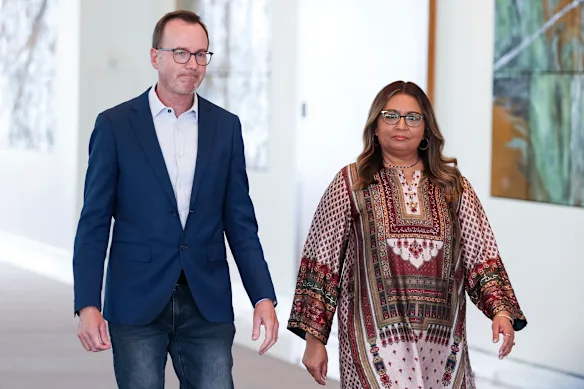 Les candidats à la direction des Verts David Shoebridge et Mehreen Faruqi, tous deux sénateurs de Nouvelle-Galles du Sud. 