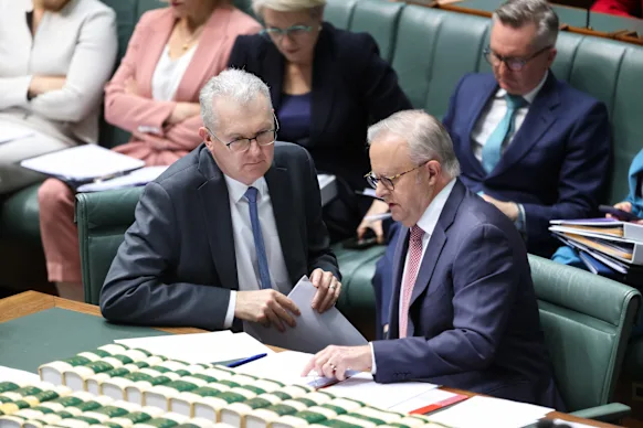 Le ministre de l'Immigration Tony Burke, à gauche, et le Premier ministre Anthony Albanese lors de l'heure des questions parlementaires mardi.