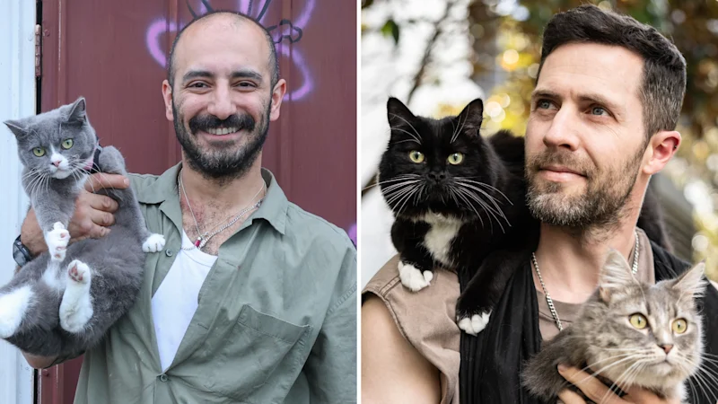 « Papas chats » : l'obsession croissante pour les hommes et les chats