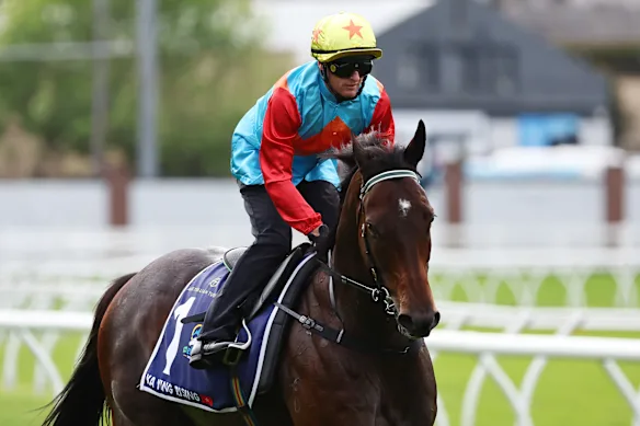 Ka Ying Rising, le favori de l'Everest.