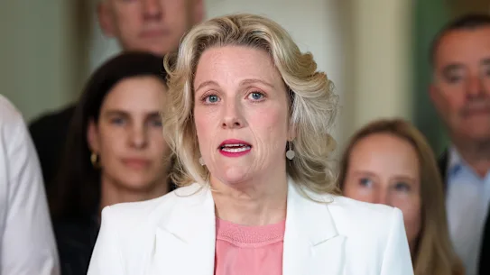 La ministre du Logement, Clare O'Neil, a déclaré que le gouvernement était préoccupé par la proposition de l'ATO.
