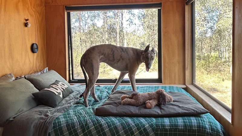 Voyage adapté aux chiens : comment planifier un week-end avec votre animal de compagnie