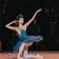 Le charme du vieux monde abonde dans ce récit classique d&rsquo;un conte de fées