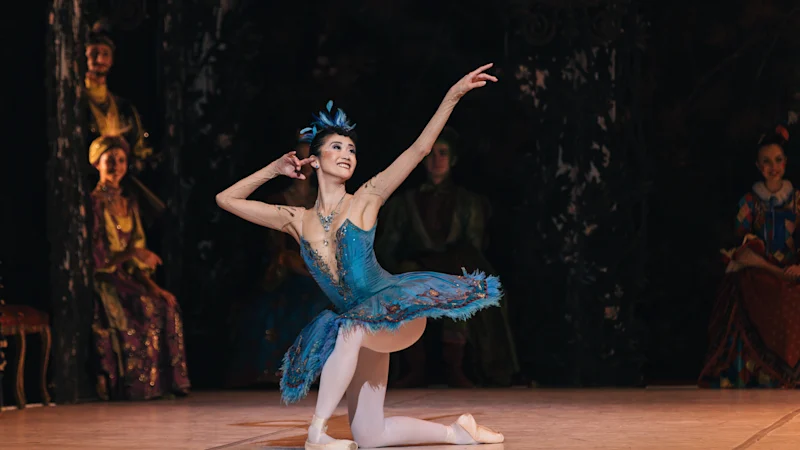 Le charme du vieux monde abonde dans ce récit classique d'un conte de fées