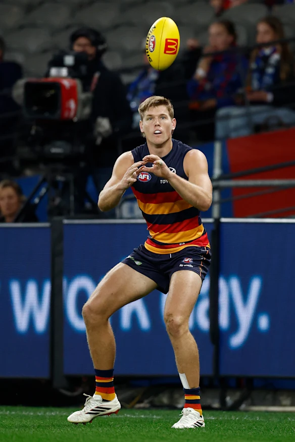 Le défenseur d'Adélaïde Nick Murray a demandé un échange avec North Melbourne.