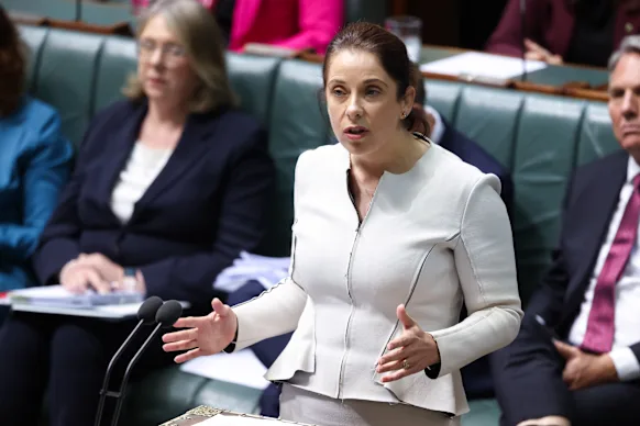 « Prise en compte mondiale » des grandes technologies : la ministre des Communications Anika Wells.