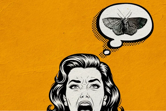 Illustration de Marija Ercegovac.