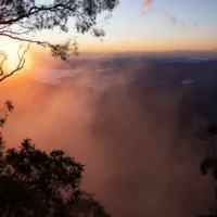 Parc national du Grand Koala : une législation a introduit un parc en cage qui équilibrerait la protection des animaux et de l&rsquo;environnement avec les activités récréatives