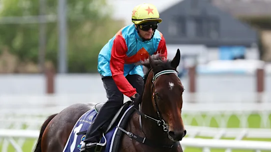 Ka Ying Rising, le favori de l'Everest.