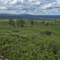 Iron Bear reprend le contrôle total du géant générationnel canadien du minerai de fer