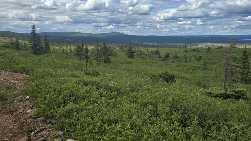 Iron Bear reprend le contrôle total du géant générationnel canadien du minerai de fer