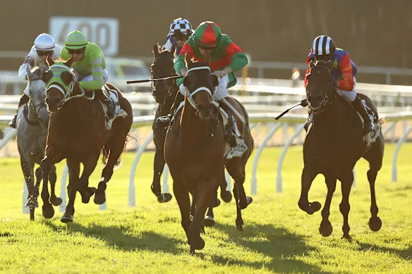 Le coureur de la Caulfield Cup, Astérix (en soie rouge et verte) remporte la Gosford Cup en mai.
