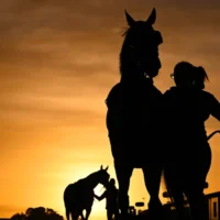 Caulfield Cup 2026 : pourquoi un héros culte du cricket néo-zélandais a les yeux rivés sur l&rsquo;une des plus grandes courses hippiques de Melbourne