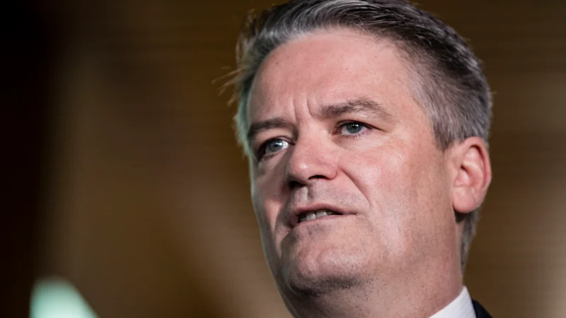 Copier One Nation et d'autres populations laissera les Australiens plus pauvres, prévient Mathias Cormann