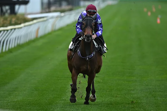 James McDonald met Aeliana, favorite de Cox Plate, à l'épreuve à Flemington mardi matin.
