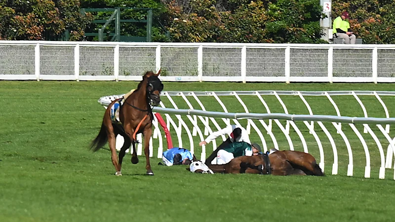 Chute de la Caulfield Cup : le Racing Victoria innocente les jockeys après le décès d'Ohope Wins