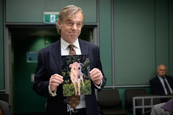 Hugo Weaving joue dans The Great White dans le rôle d'Alan, un avocat malchanceux qui en est réduit à représenter un chien.