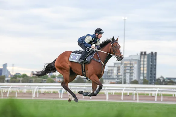 Birdman est mis à l'épreuve par le jockey Ben Melham à Flemington.