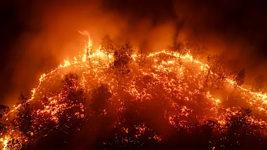 Des incendies de forêt surviennent chaque année en Indonésie, mais les ravages de cette année sont les pires jamais enregistrés.