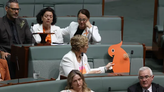 Député de Warringah Zali Steggall avec un cacatoès orange, occupant le siège vacant d'Helen Haines.