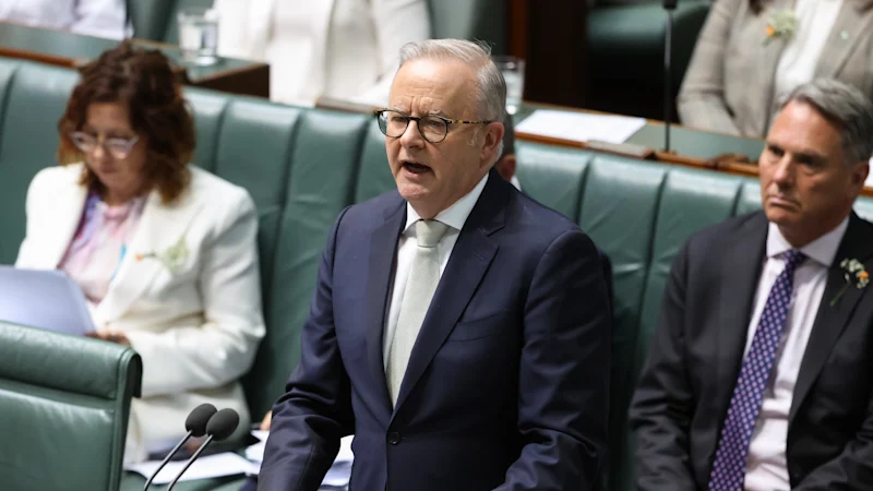 Attaque d'Helen Haines : Anthony Albanese confirme le renforcement de la sécurité des députés